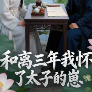 和离三年我怀了太子的崽