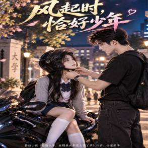 风起时，恰好少年
