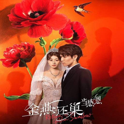 金燕还巢当感恩