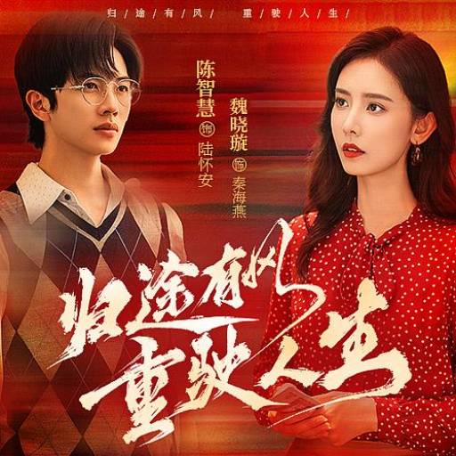 归途有风重驶人生