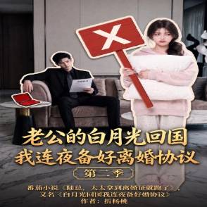 老公的白月光回国我连夜备好离婚协议第二季