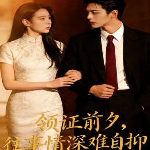 领证前夕，往事情深难自抑