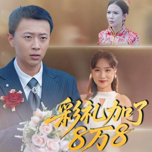 彩礼加了8万8