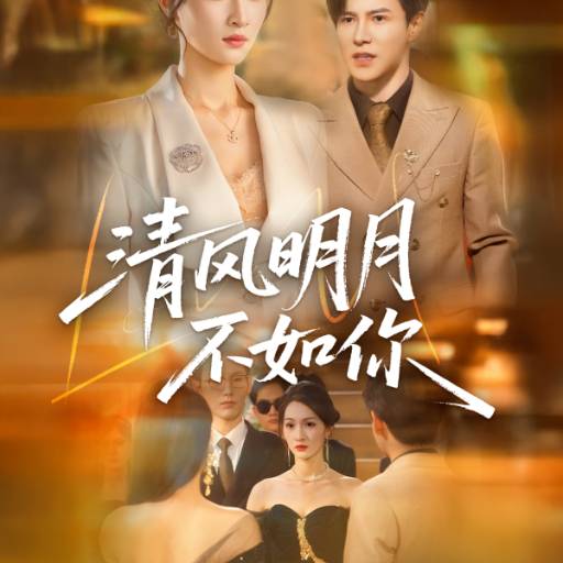 清风明月不如你