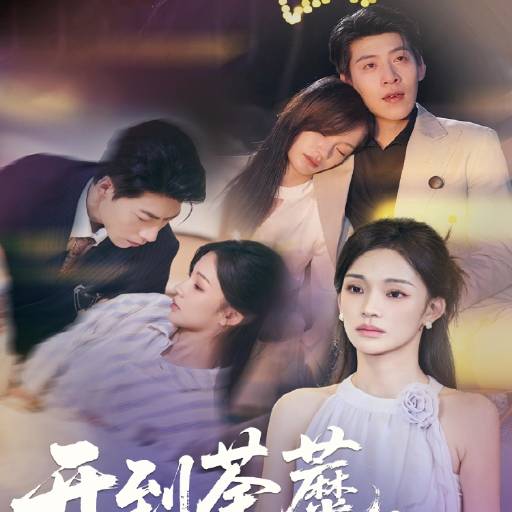 开到荼蘼花事终了