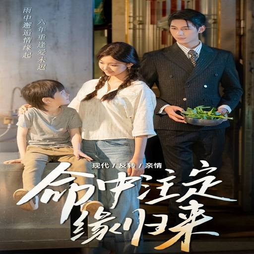 命中注定缘归来