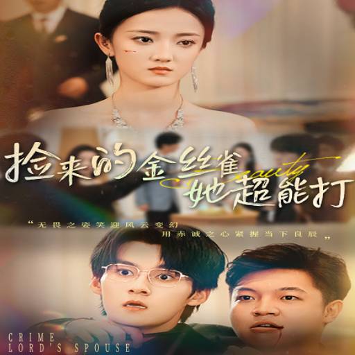 捡来的金丝雀她超能打