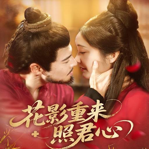 花影重来照君心