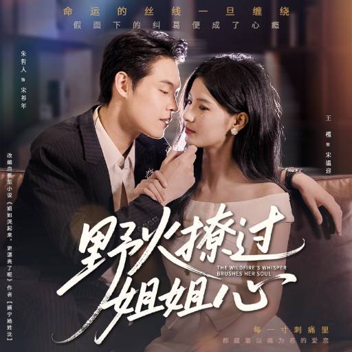 野火撩过姐姐心