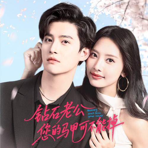 钻石老公,您的马甲可不能掉